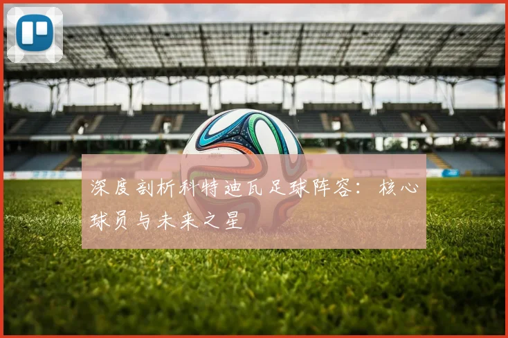深度剖析科特迪瓦足球阵容:核心球员与未来之星