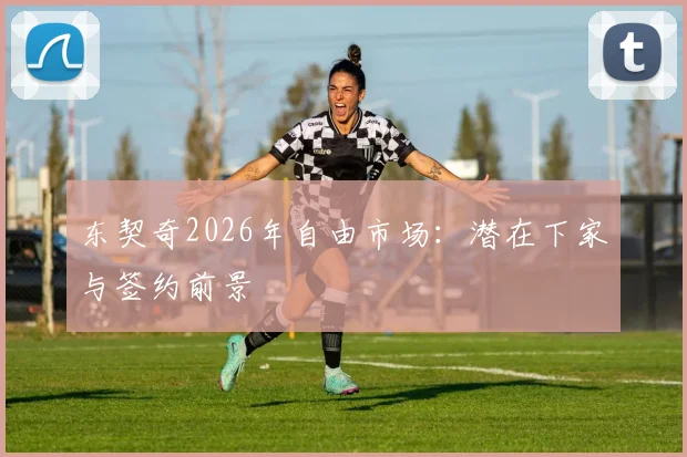 东契奇2026年自由市场:潜在下家与签约前景